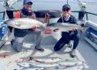 king salmon season in alaska