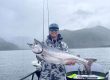 coho vs king salmon identification